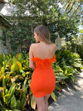 Feather Frenzy Dress / Orange