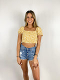 Sunshine Puff Crop